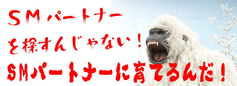 SMパートナーの探し方